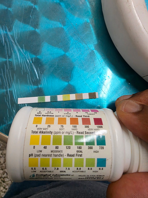 Students testing water