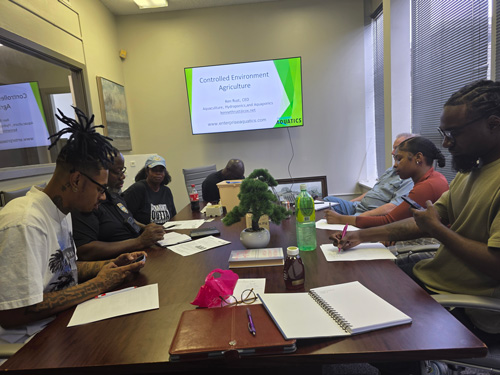 Students testing water